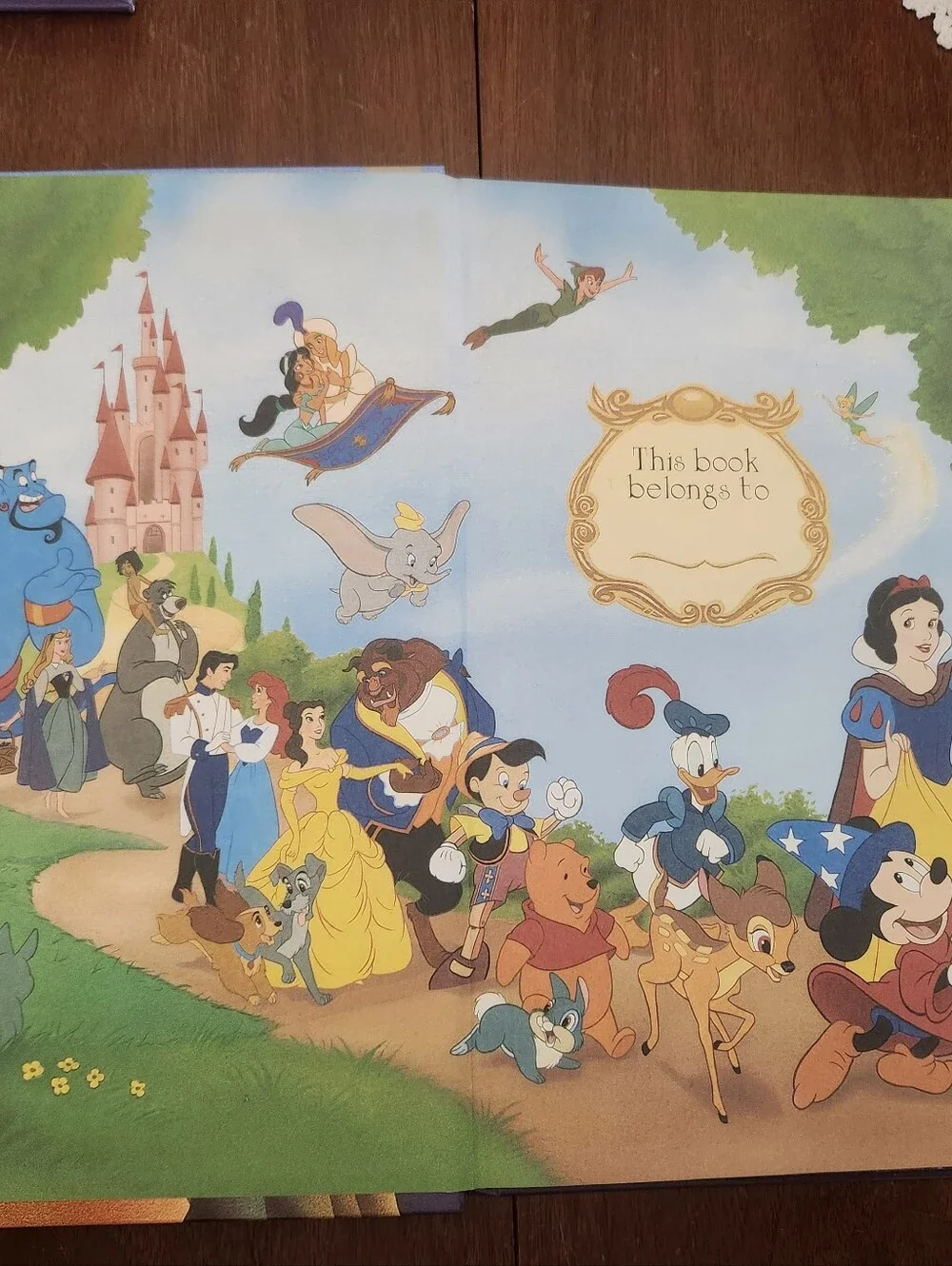 Disney The Lion King Hard Cover Book 1994 Release EUC